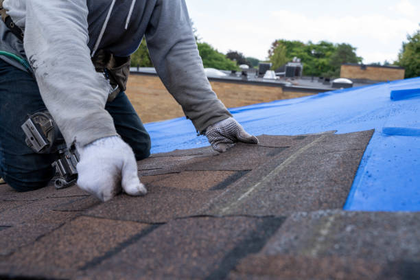 Professional Roofing Contractor in Saraland, AL