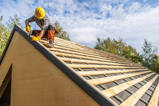 Roof Gutter Cleaning in Saraland, AL