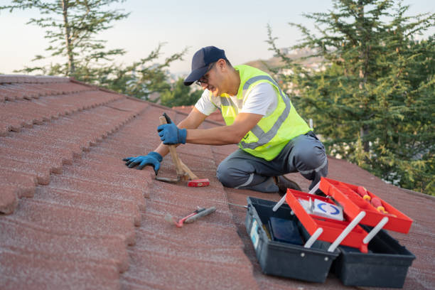Best Roof Repair Services  in Sarand, AL