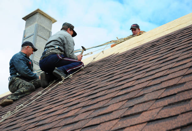 Best Commercial Roofing Services  in Sarand, AL